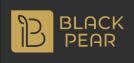 agent logo