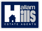 agent logo