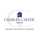 agent logo
