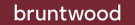 agent logo