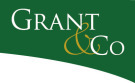 agent logo