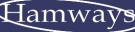 agent logo