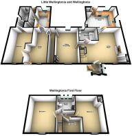 Wellingtonia And Little Wellingtonia