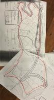 IMG_1954.jpeg