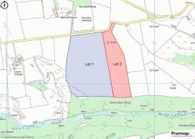 Promap-3024902-3123386.jpg