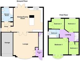 24 Percy Road - all floors.JPG