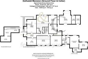 Ground Floor & Cellar