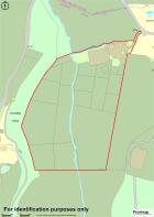 Promap-3248079-3345166-750-0.jpg