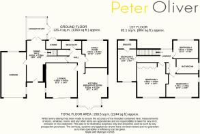 Main Floorplan