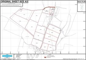 Floor/Site plan 1
