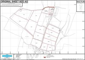 Floor/Site plan 1