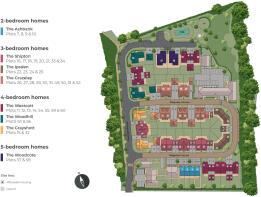 Development Layout