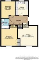 30PintailClose-High.jpg