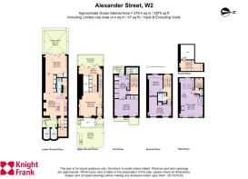 Alexander Street Flo