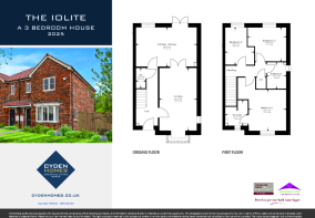 The Iolite