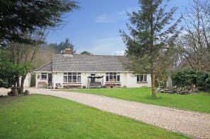 Bluehayes, Woolmer Lane, Ringwood BH24 3PQ