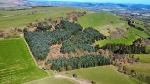 Maes Y Dderw, Old Radnor, Presteigne LD8 2RP