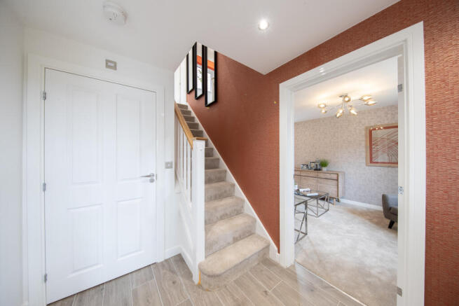 Showhome Photography