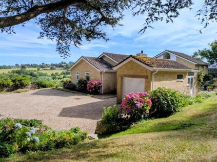Clayhanger Lane, Wadeford, Chard
