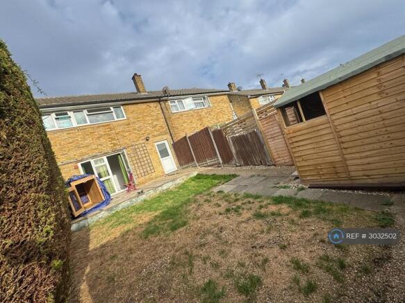 Back Garden 2
