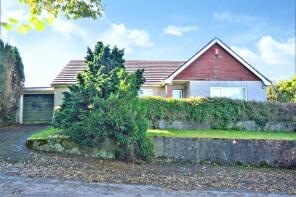 Pelmena, Road From Ashton To Halton Barton, Callington PL17 8AG