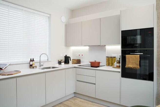Coanda Show Home