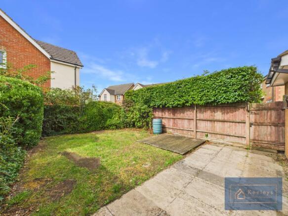 Back garden