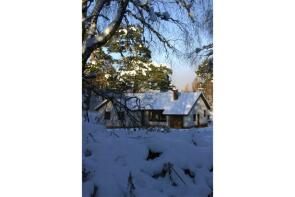 An Cuilion, Rannoch, Dall PH17 2QR