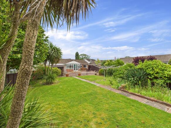 Back garden