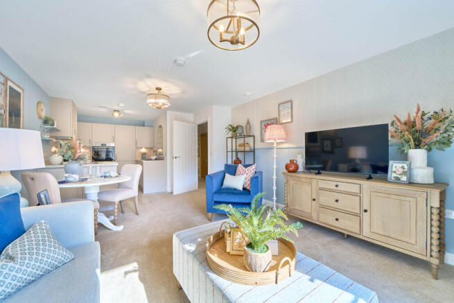 Show home living room