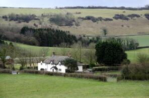 Old Fox Folly, Park Farm To Brace Of Pheasants, Dorchester DT2 7RL