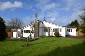 Eureka, Road From Churston Cross To Mambury Cross, Holsworthy EX22 7UQ