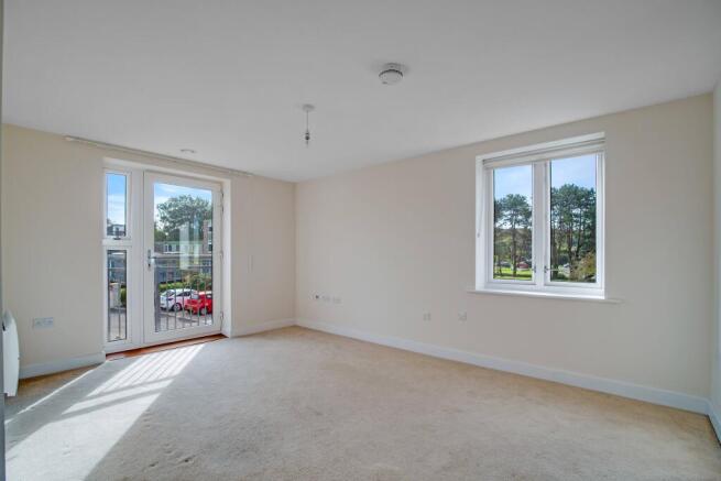 a room with a carpet and windows