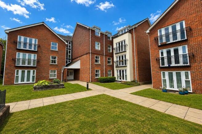 49 Birch (Copy)