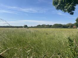 Solitaire, Low Street, Bungay NR35 1QZ