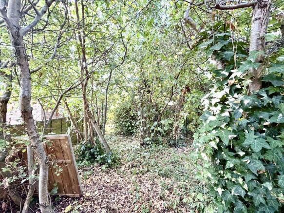 Woodland Garden