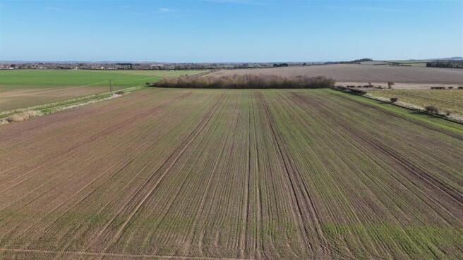 DJI_20260217101923_0051_D.JPG
