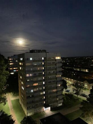 IMG_8577.jpg