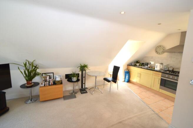 Living room/kitchen
