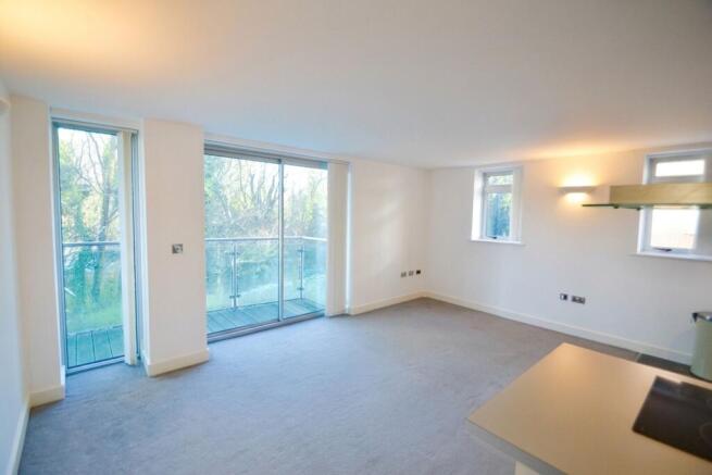 Living Area & Kitchen