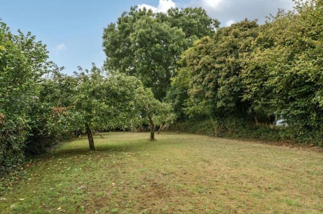 Orchard