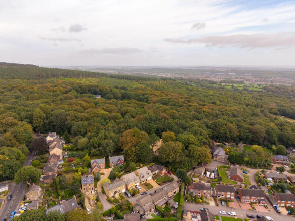 Aerial Image
