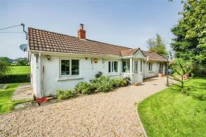 Holly Bush, Derry Ormond, Betws Bledrws SA48 8NP