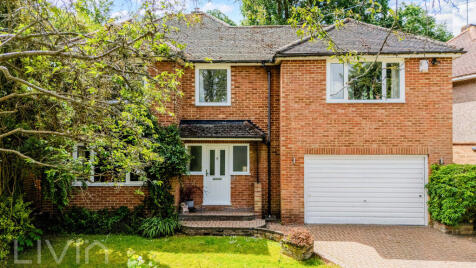 Chestnut Grove, South Croydon, Greater London