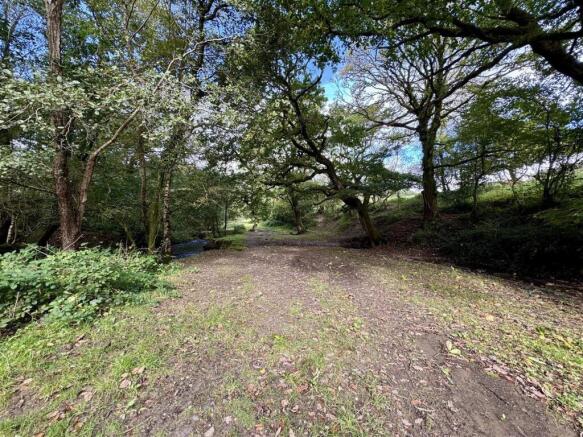 WOODLAND