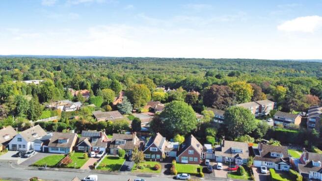 dji_0020.jpg