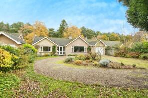 36, Pineheath Road, Holt NR25 6QF