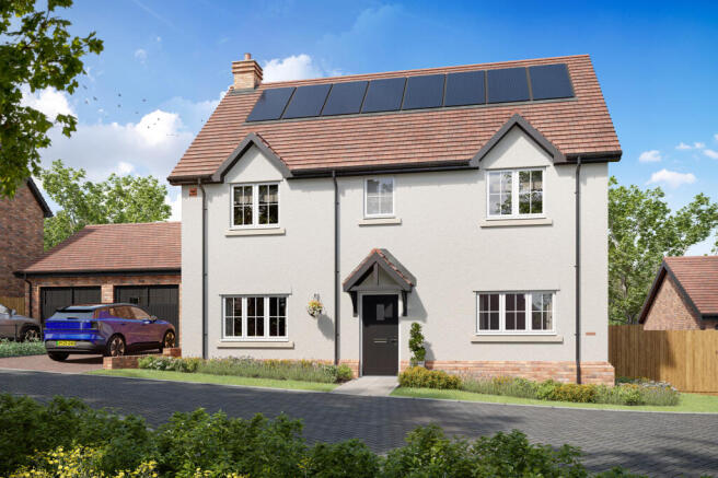 The Tulip 2 - Plot 8