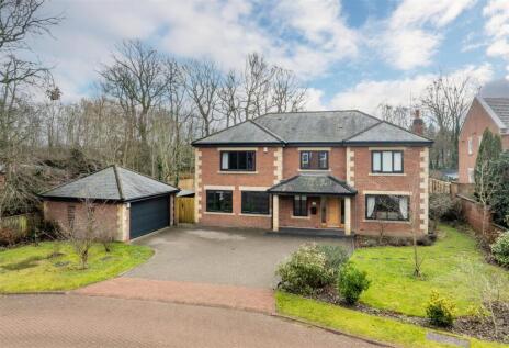 The Drey, Darras Hall, NE20