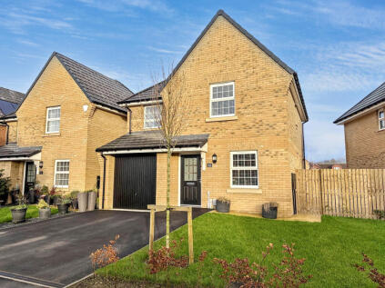 Ivy Drive, West Meadows, Cramlington, Northumberland, NE23 8FP